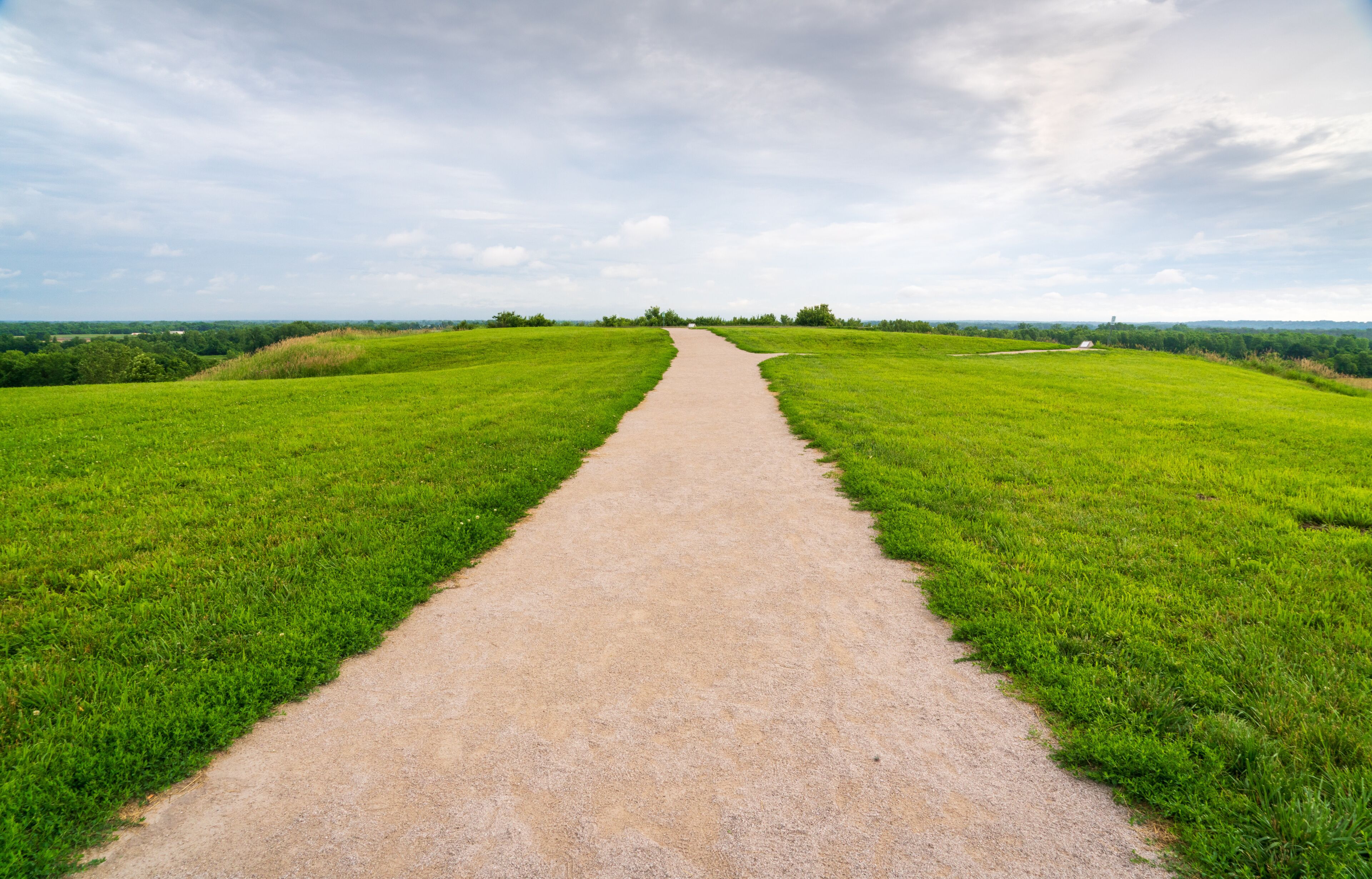 On top of Cahokia Mounds State Historic Site