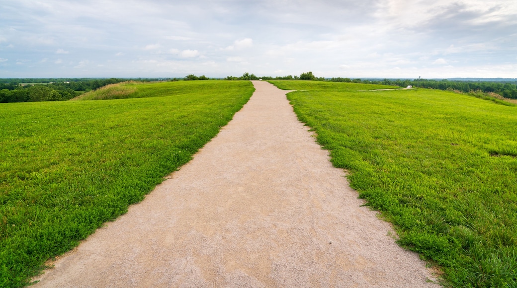 On top of Cahokia Mounds State Historic Site