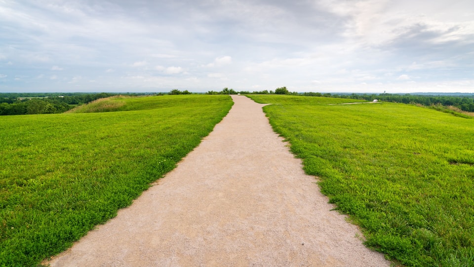 A gravel path in a green field with a cloudy sky.