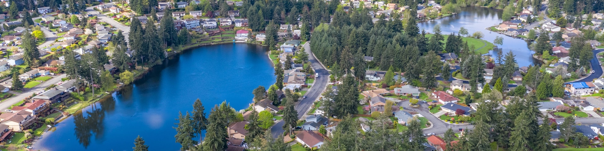 Un quartier résidentiel avec un lac, entouré de maisons et de forêts denses.