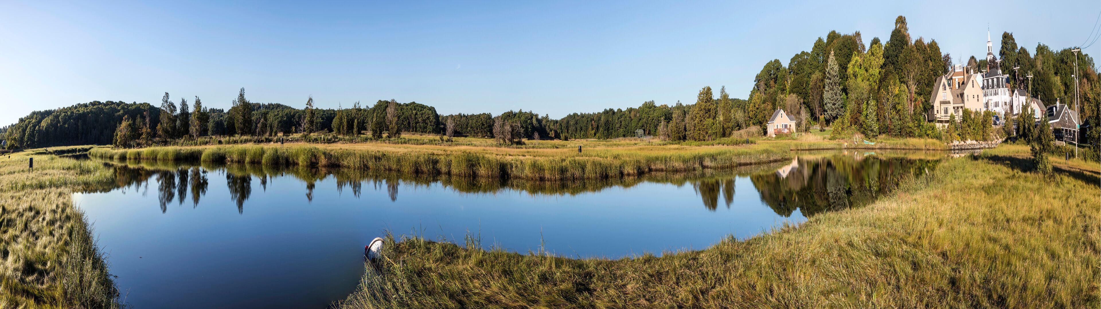 scenic river landscape in morning light