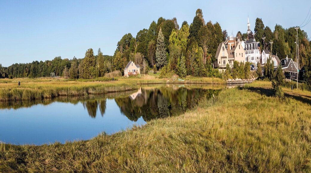 scenic river landscape in morning light