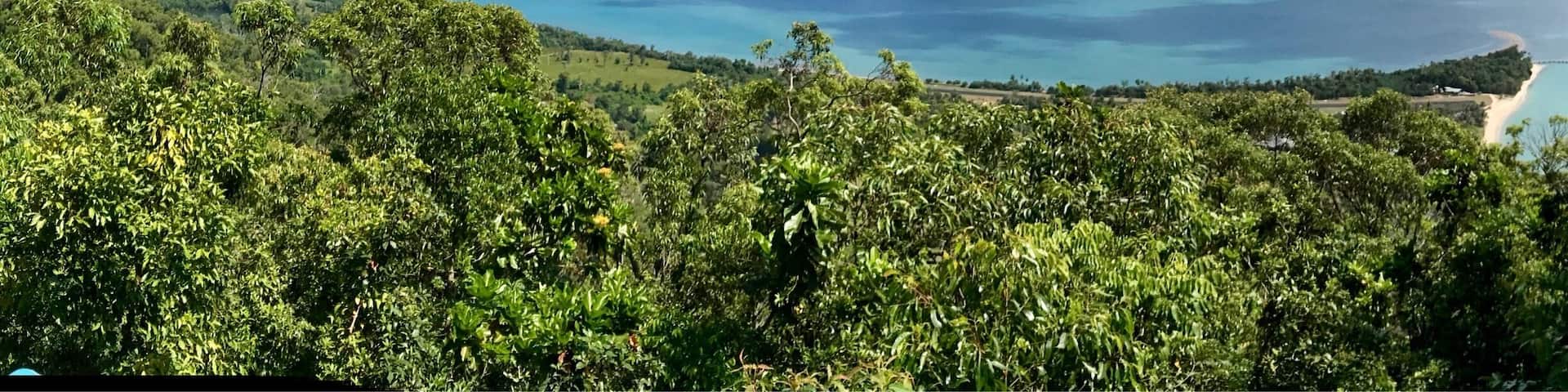 Take the water taxi out to Dunk Island and hike up to Mt. Kootaloo for an amazing view!