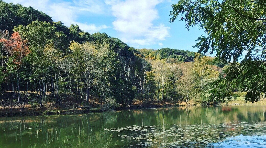 North Park Lake, McCandless, PA