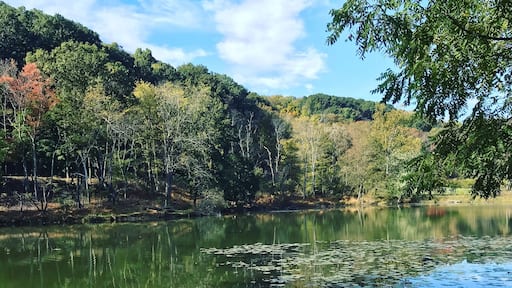 North Park Lake, McCandless, PA