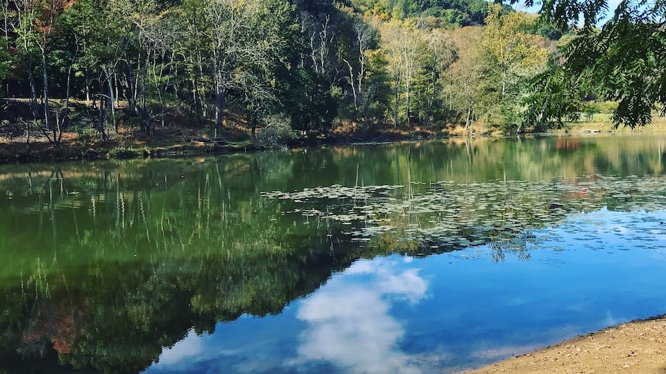 A calm river with reflections of trees and sky, surrounded by hills and a clear sky.
