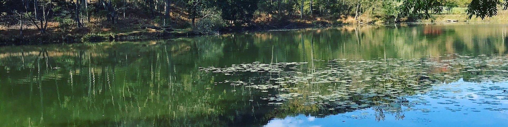 North Park Lake, McCandless, PA