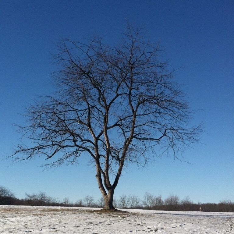 Hole 6 at Knob Hill #discgolf #nature #pennsylvania