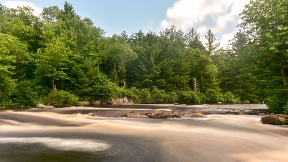 A river flowing through a dense forest with a rocky bed and lush green trees.