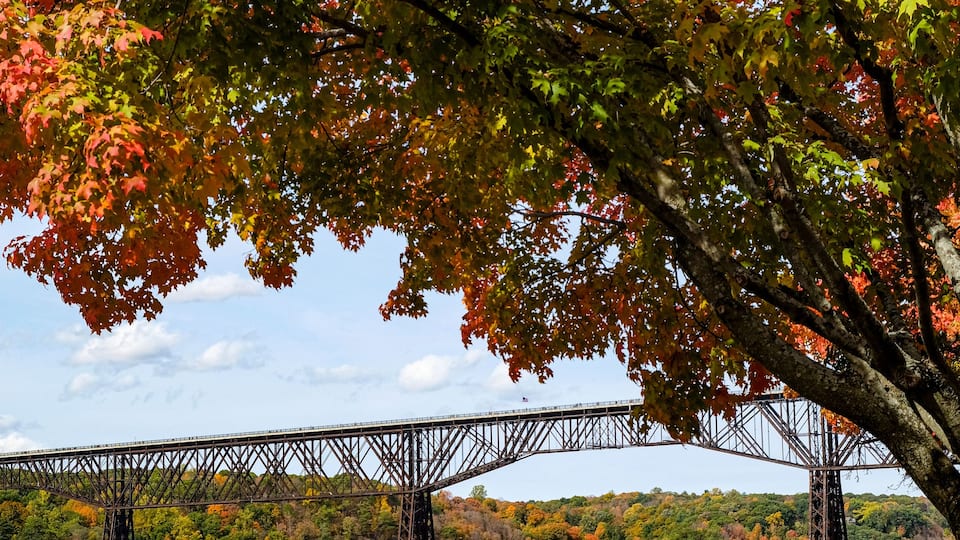 A bridge over a body of water, surrounded by autumn foliage and a bench.