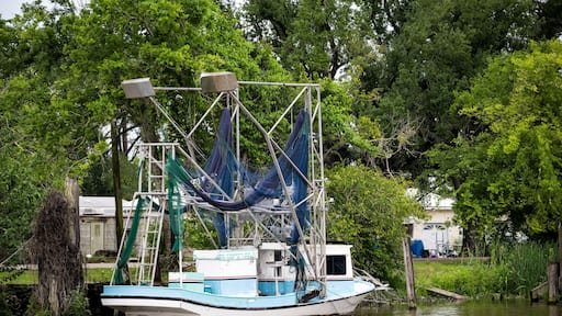 Down the Bayou Working Trawl Boat