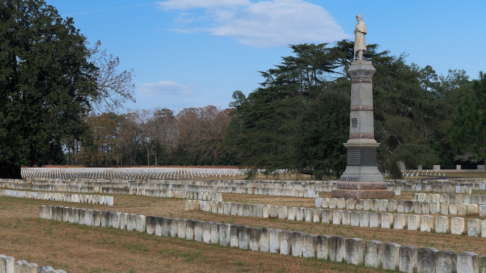 A cemetery with rows of headstones and a statue in the center.