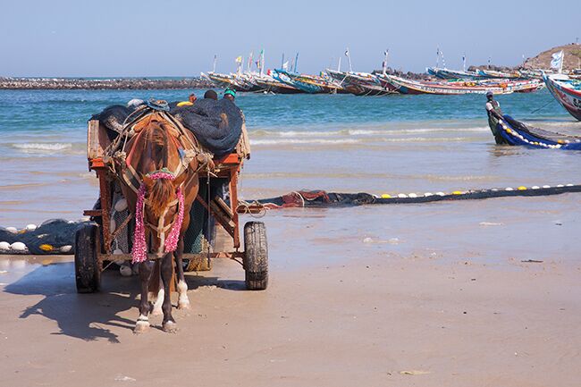 Yoff is a neighborhood in Dakar, but it is also a separate town with its own peculiarities. Yoff is known for its Muslim Community Council and its fishing villages and is considered slightly more conservative than more central parts of Dakar. To get a proper impression of traditional fishing and the beautiful pirogues a visit to the district Yoff is a good idea. Yoff is the most northeastern district of Dakar and adjoins the airport in the west. Read more on blog: http://www.travelwithallsenses.com/fishermen-of-yoff/