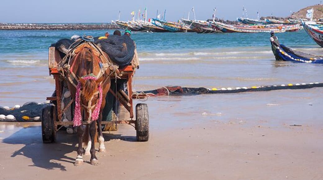 Yoff is a neighborhood in Dakar, but it is also a separate town with its own peculiarities. Yoff is known for its Muslim Community Council and its fishing villages and is considered slightly more conservative than more central parts of Dakar. To get a proper impression of traditional fishing and the beautiful pirogues a visit to the district Yoff is a good idea. Yoff is the most northeastern district of Dakar and adjoins the airport in the west. Read more on blog: http://www.travelwithallsenses.com/fishermen-of-yoff/