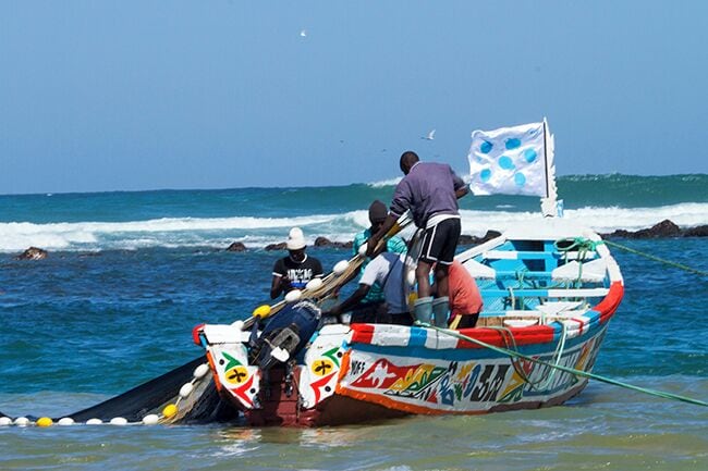 Yoff is a neighborhood in Dakar, but it is also a separate town with its own peculiarities. Yoff is known for its Muslim Community Council and its fishing villages and is considered slightly more conservative than more central parts of Dakar. To get a proper impression of traditional fishing and the beautiful pirogues a visit to the district Yoff is a good idea. Yoff is the most northeastern district of Dakar and adjoins the airport in the west. Read more on blog: http://www.travelwithallsenses.com/fishermen-of-yoff/