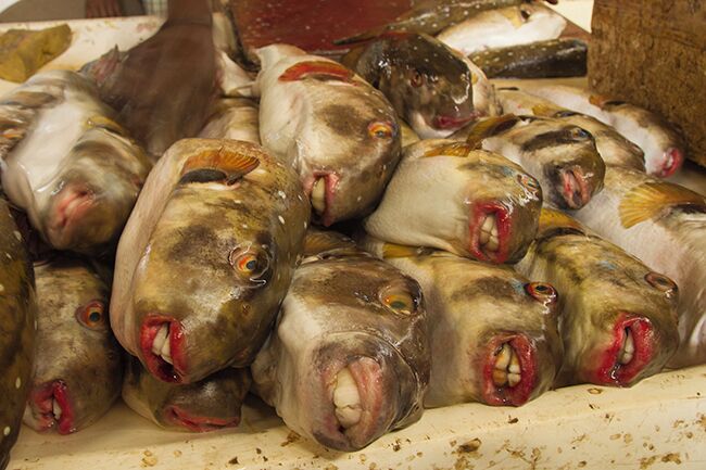 This is a must visit, one of the best of Dakar`s markets! In a beautiful circular building the fish traders has their place in the center. Then comes butchers in the next circle, vegetable and fruit dealers outside there together with florists. Outside the building you will find typical African souvenirs such as jewelry, masks and sculptures. Read more: http://www.travelwithallsenses.com/shopping-dakars-markets/