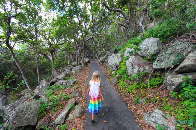 One of my favourite walks on the Gold Coast is the coastal loop trail through Burleigh Heads National Park. You'll walk alongside the coastline plus through the forest. Start and finish on the point near Burleigh Heads Surf Club.