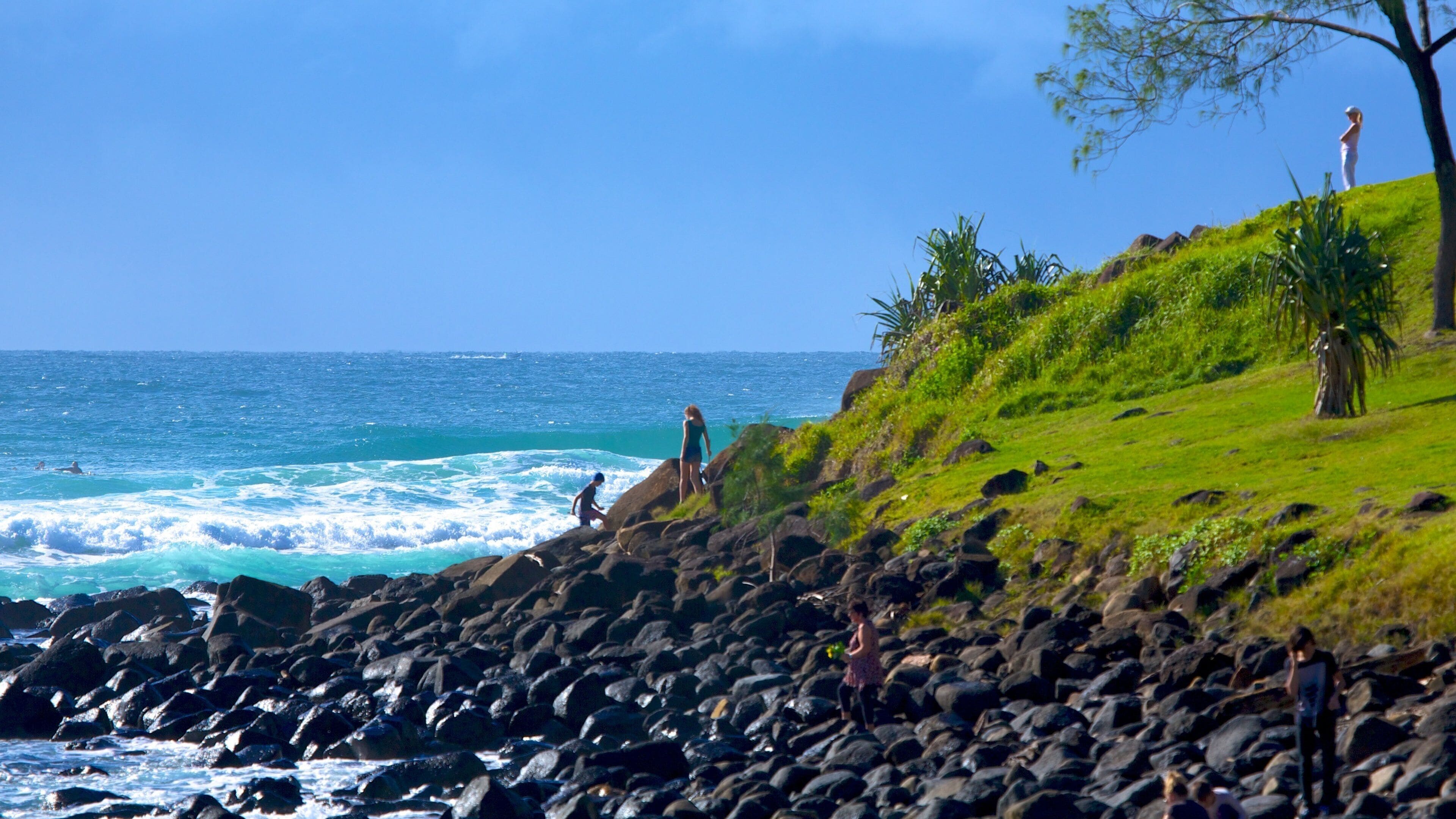 Burleigh Heads which includes rugged coastline