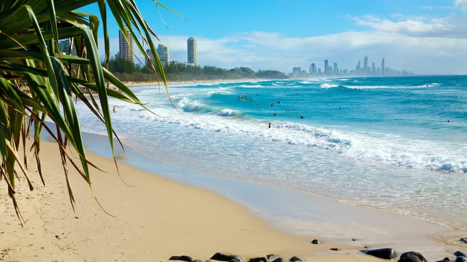 Una playa con olas, un horizonte urbano y palmeras.
