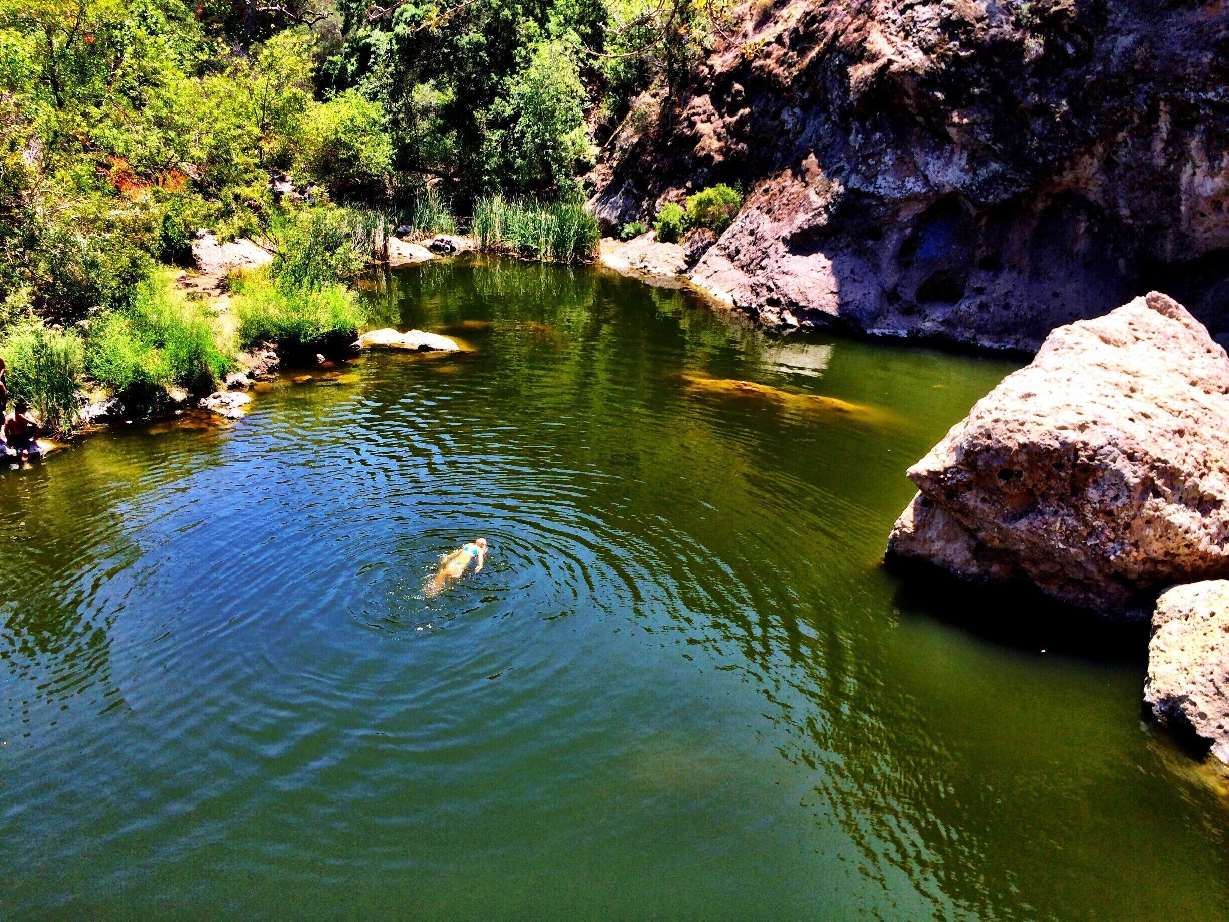 Our favorite back yard swimming hole.  The cliff jumping and hiking here is also fantastic! #localgem