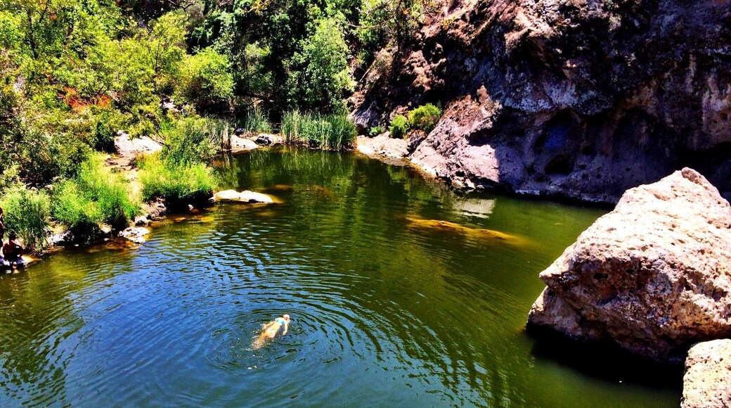 Our favorite back yard swimming hole. The cliff jumping and hiking here is also fantastic! #localgem