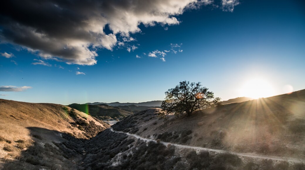 Cheeseboro and Palo Comado Canyon