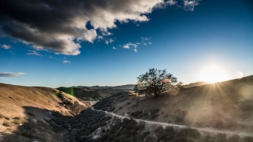 Cheeseboro and Palo Comado Canyon