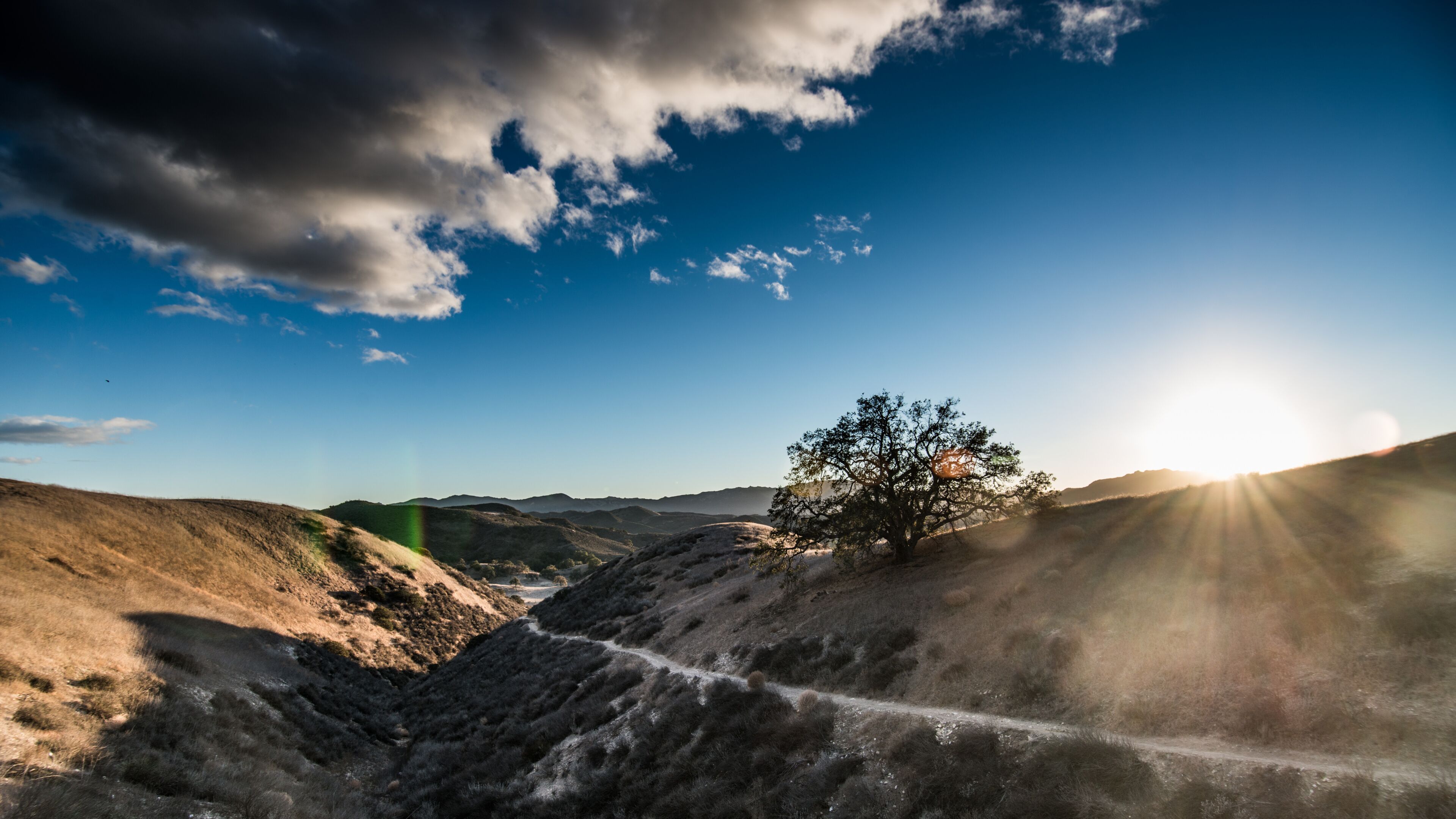 A landscape with a solitary tree on a hill, a clear sky, and distant mountains.