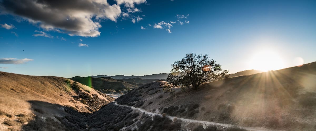 A landscape with a solitary tree on a hill, a clear sky, and distant mountains.
