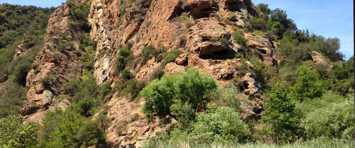 I feel so lucky to have such beautiful escapes right at the doorstep of Los Angeles. Malibu Creek State Park, looks gorgeous at this time with lots of little wildflowers in bloom.