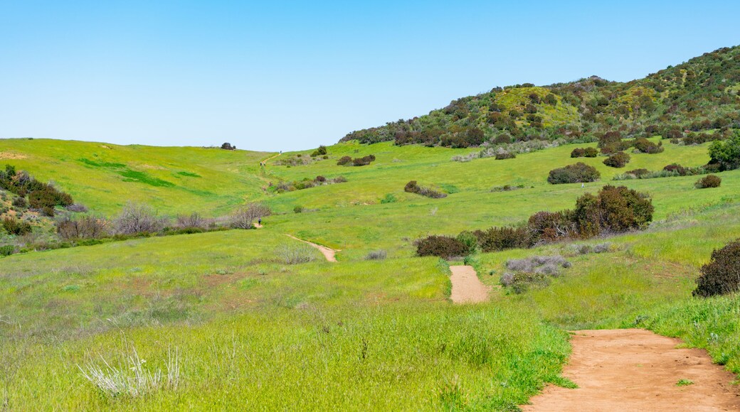 Calabasas