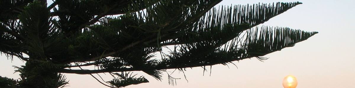 Busselton Jetty, Western Australia. 🇦🇺