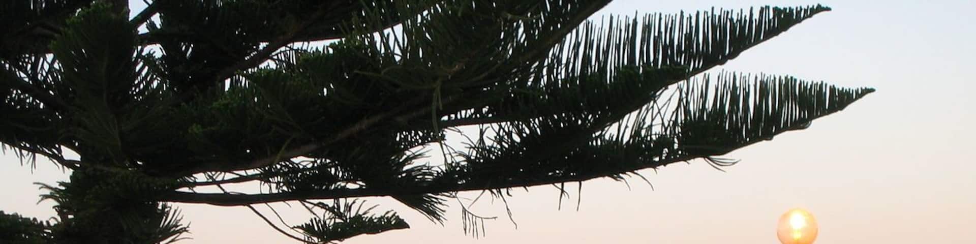 Busselton Jetty, Western Australia. 🇦🇺