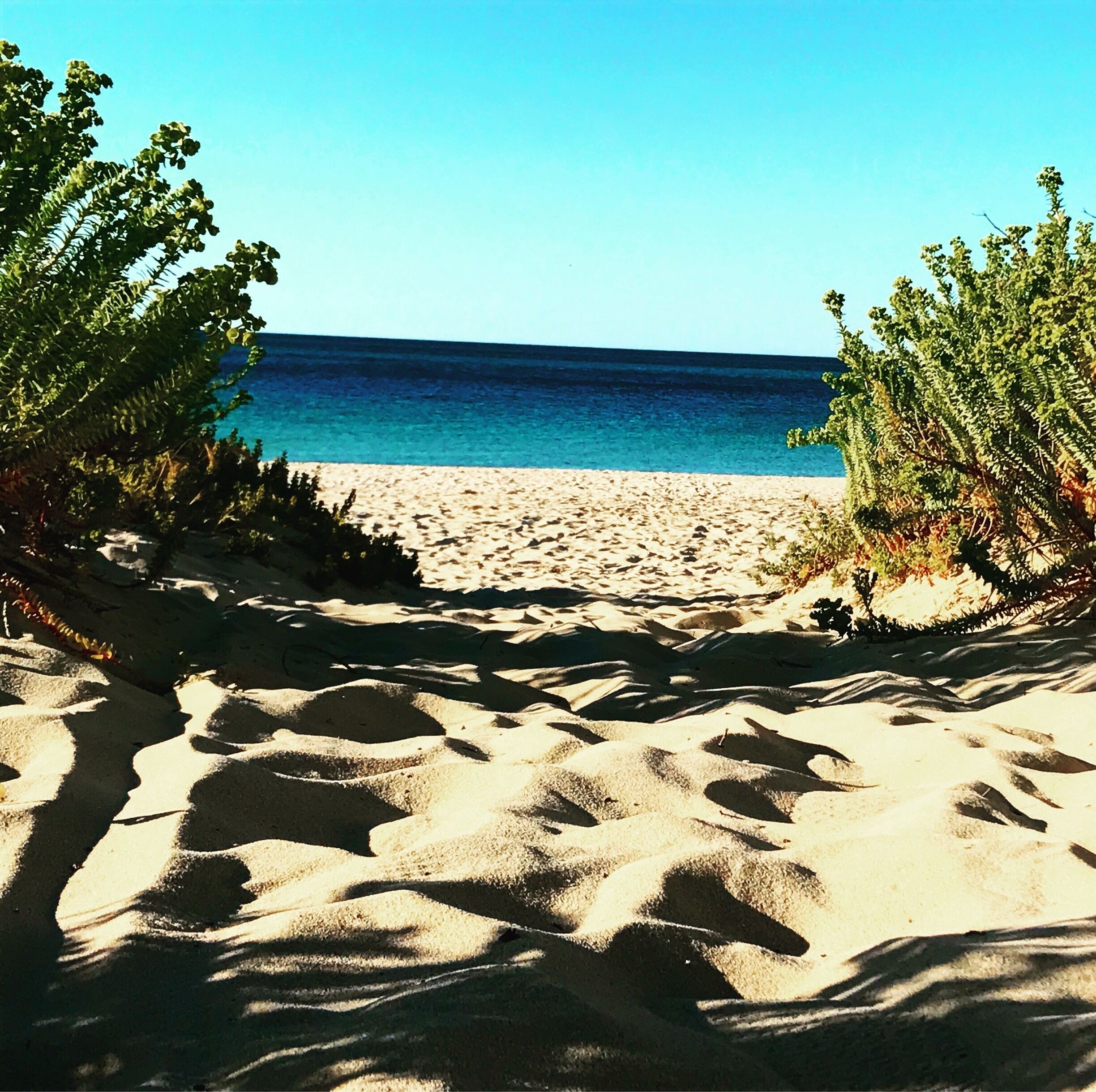 Any day at the beach is a good day.... Busselton has a lot of good days at the beach! 