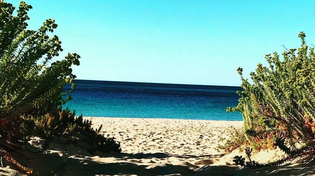 Any day at the beach is a good day.... Busselton has a lot of good days at the beach!