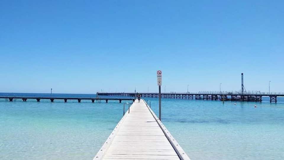 Squeaky white sands and crystal clear water — this is the pristine coast of Australia, aren't we lucky? #howsyamonday? 😼😂👌👍✌ #happyplace #postcardperfect #picturesque #australia #coastal #aqauticaustralia #perth #seeaustralia #bussleton