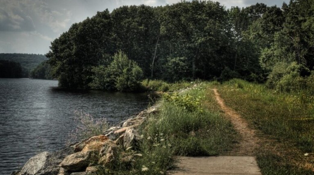 Midsummers afternoon with a storm fast approaching