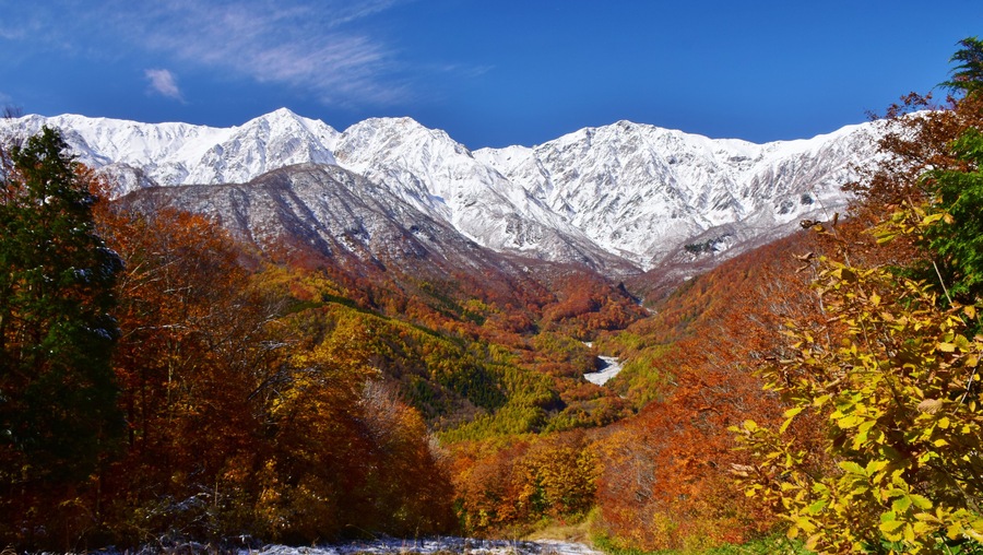 Una cordillera con picos nevados y un valle lleno de árboles de colores otoñales.