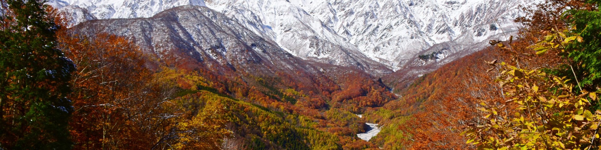 Ein Gebirge mit schneebedeckten Gipfeln und einem Tal, gefüllt mit herbstlich gefärbten Bäumen.