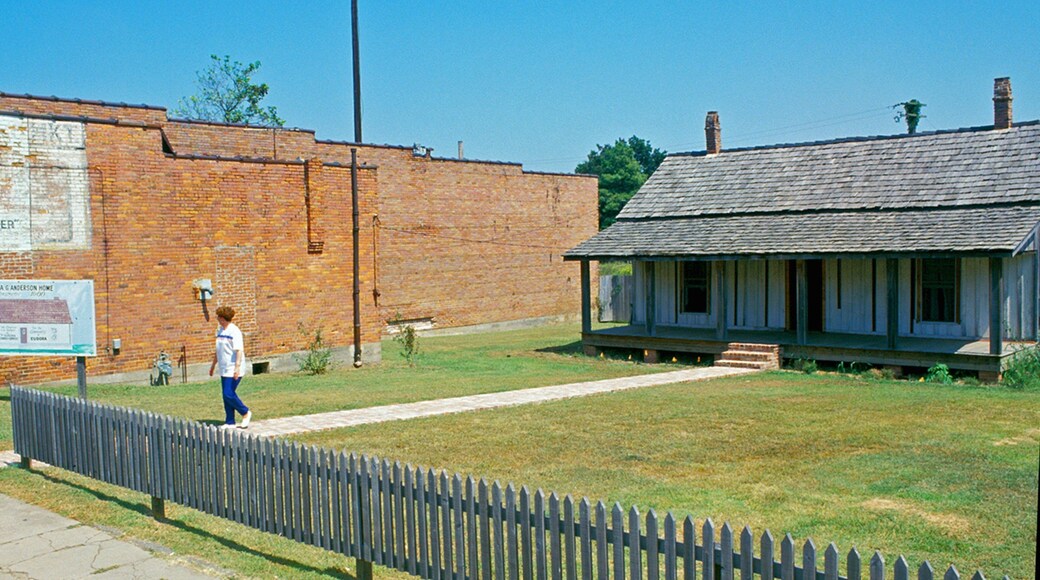 Eudora featuring a house as well as an individual femail