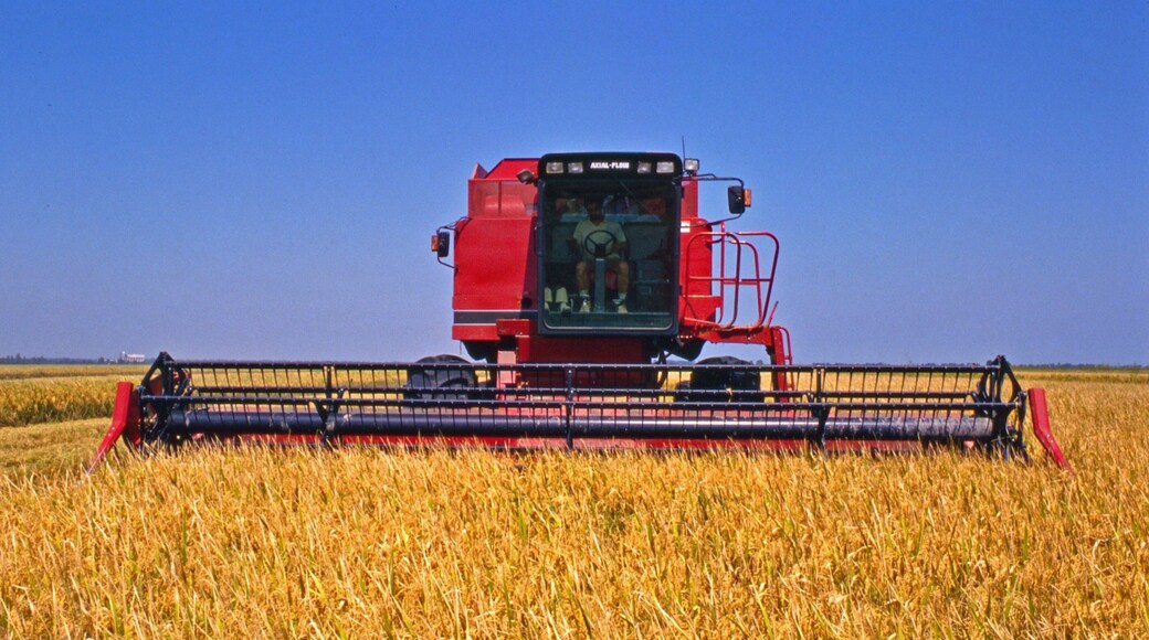 Eudora showing farmland and tranquil scenes