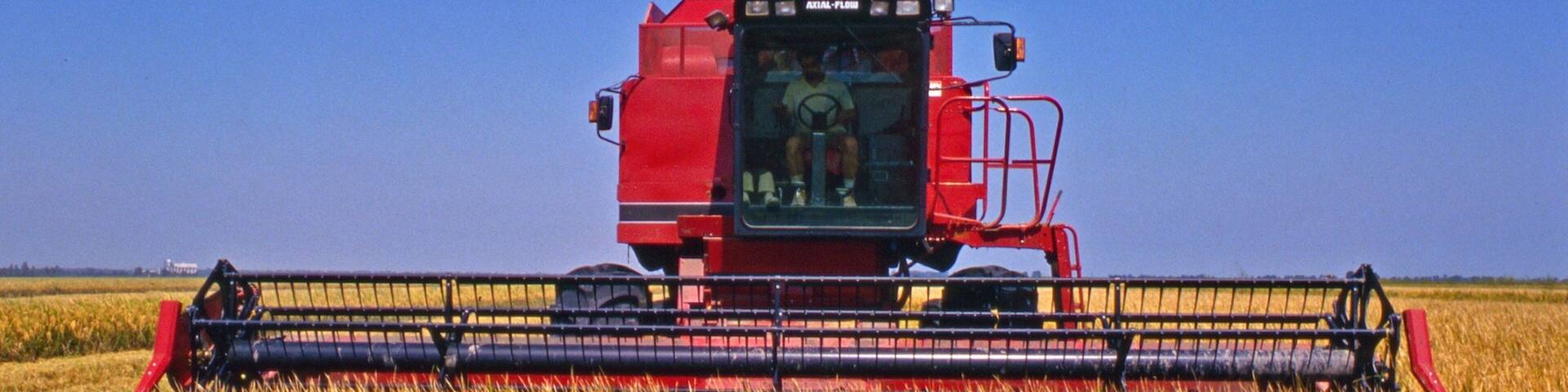 Eudora showing farmland and tranquil scenes