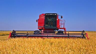 Eudora showing farmland and tranquil scenes