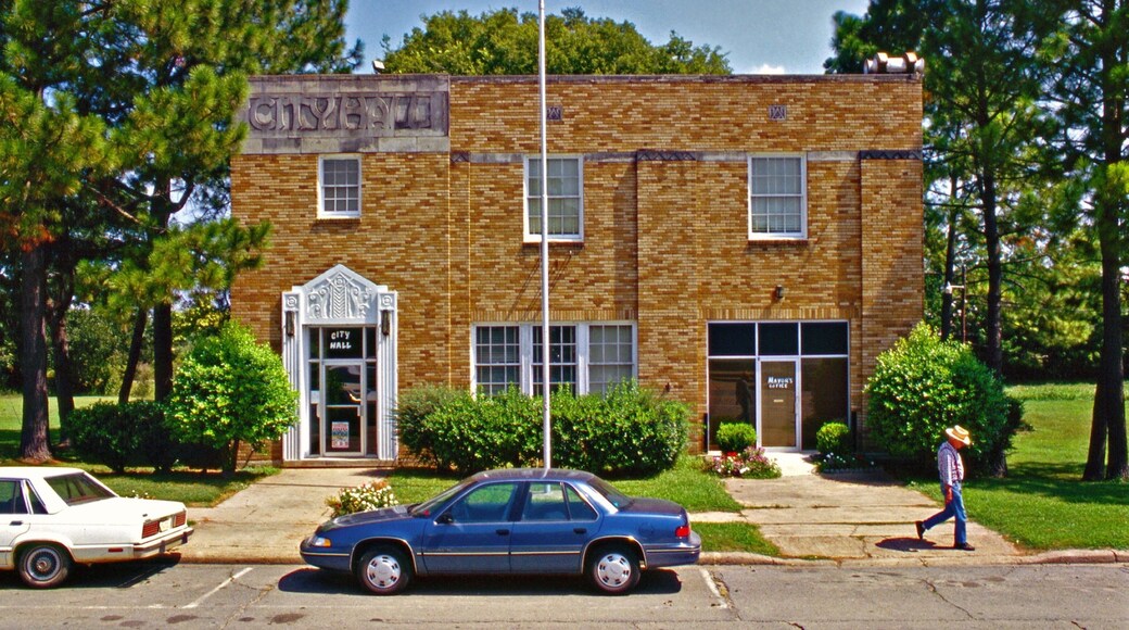 Eudora featuring heritage architecture as well as an individual male