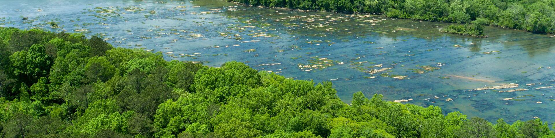 Aerial View of Rocky Riverbed and Lush Forest Irwin Shoals on Lake Martin, Alabama