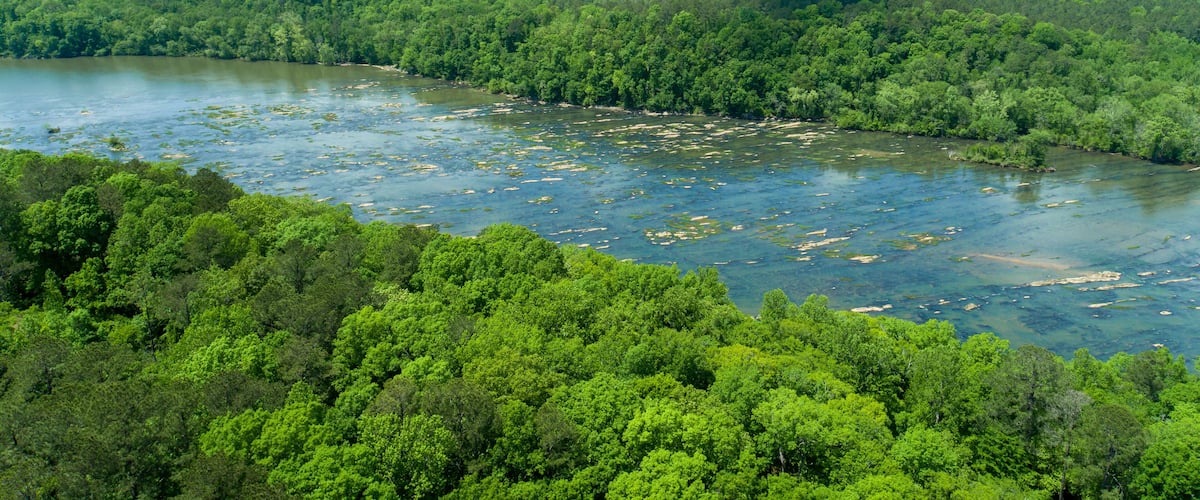 A river winding through a dense forest with a clear sky above.