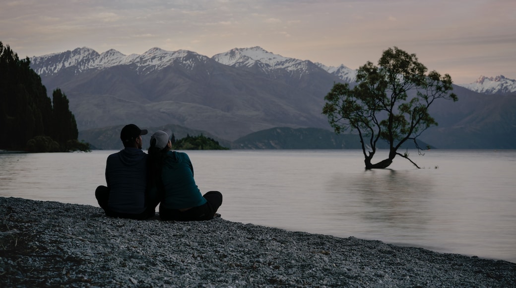 Travel couple resting by the lake shore in front of Wanaka Tree. New Zealand