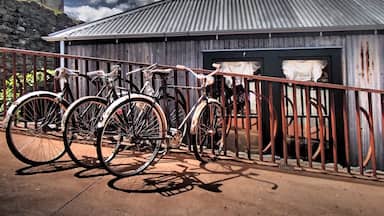 A Trio of Bicycles parked up in Old Cromwell (Otago, NZ)