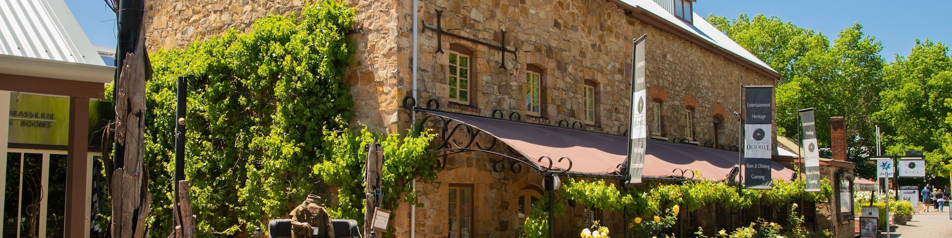 Hahndorf showing flowers