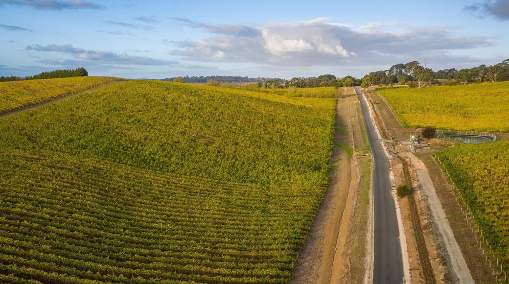 Hahndorf featuring farmland, landscape views and tranquil scenes